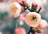 今日更新怎樣躲春（躲春）