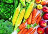 今日更新對眼睛有益的食物（用眼過度是現(xiàn)代人的通?。? /></span></a>
                        <h2><a href=