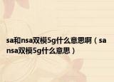 sa和nsa雙模5g什么意思?。╯a nsa雙模5g什么意思）