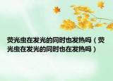 熒光蟲在發(fā)光的同時也發(fā)熱嗎（熒光蟲在發(fā)光的同時也在發(fā)熱嗎）