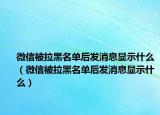 微信被拉黑名單后發(fā)消息顯示什么（微信被拉黑名單后發(fā)消息顯示什么）