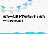 象為什么是上下結(jié)構(gòu)的字（象為什么是獨(dú)體字）