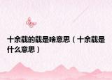 十余載的載是啥意思（十余載是什么意思）