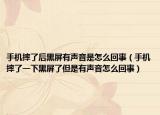 手機摔了后黑屏有聲音是怎么回事（手機摔了一下黑屏了但是有聲音怎么回事）
