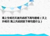 海上生明月天涯共此時下兩句是啥（天上升明月 海上共此時的下兩句是什么）