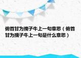 俯首甘為孺子牛上一句意思（俯首甘為孺子牛上一句是什么意思）