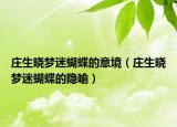 莊生曉夢迷蝴蝶的意境（莊生曉夢迷蝴蝶的隱喻）