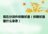 現(xiàn)在分詞作伴隨狀語（伴隨狀語是什么意思）