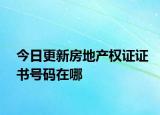 今日更新房地產權證證書號碼在哪
