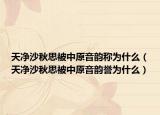 天凈沙秋思被中原音韻稱為什么（天凈沙秋思被中原音韻譽為什么）