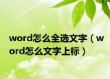 word怎么全選文字（word怎么文字上標）