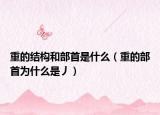 重的結構和部首是什么（重的部首為什么是丿）