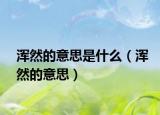 渾然的意思是什么（渾然的意思）