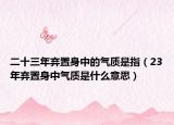 二十三年棄置身中的氣質(zhì)是指（23年棄置身中氣質(zhì)是什么意思）