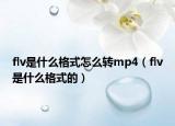 flv是什么格式怎么轉(zhuǎn)mp4（flv是什么格式的）