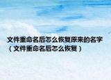 文件重命名后怎么恢復(fù)原來的名字（文件重命名后怎么恢復(fù)）