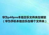 華為p40pro本地音樂文件夾在哪里（華為手機(jī)本地音樂在哪個文件夾）