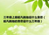 三年級上冊超凡脫俗是什么意思（超凡脫俗的意思是什么三年級）