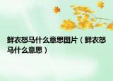 鮮衣怒馬什么意思圖片（鮮衣怒馬什么意思）