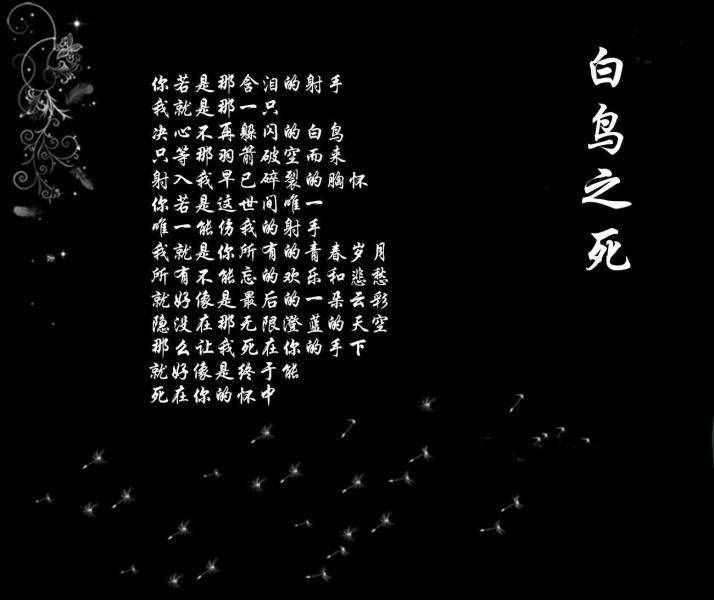 你知道白鳥之死背后的悲傷故事嗎？