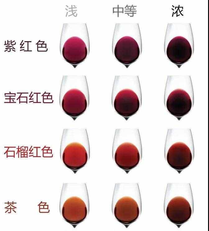 最全的葡萄酒分類，建議收藏