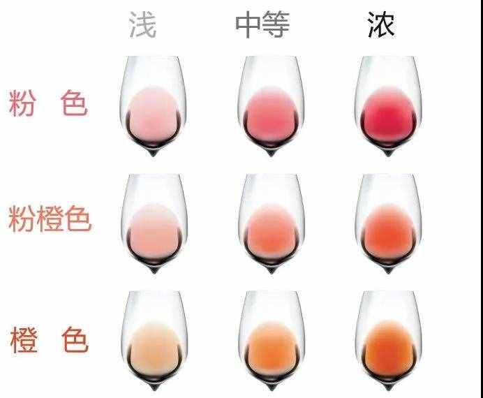 最全的葡萄酒分類，建議收藏