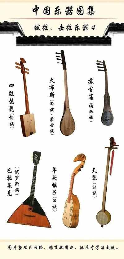 樂(lè)器種類(lèi)大揭秘