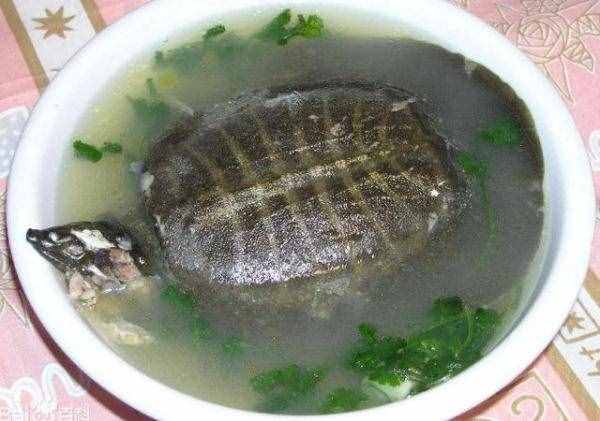 備孕時(shí)，吃這3樣食物，能促進(jìn)卵泡發(fā)育，或許能讓你早一點(diǎn)懷上