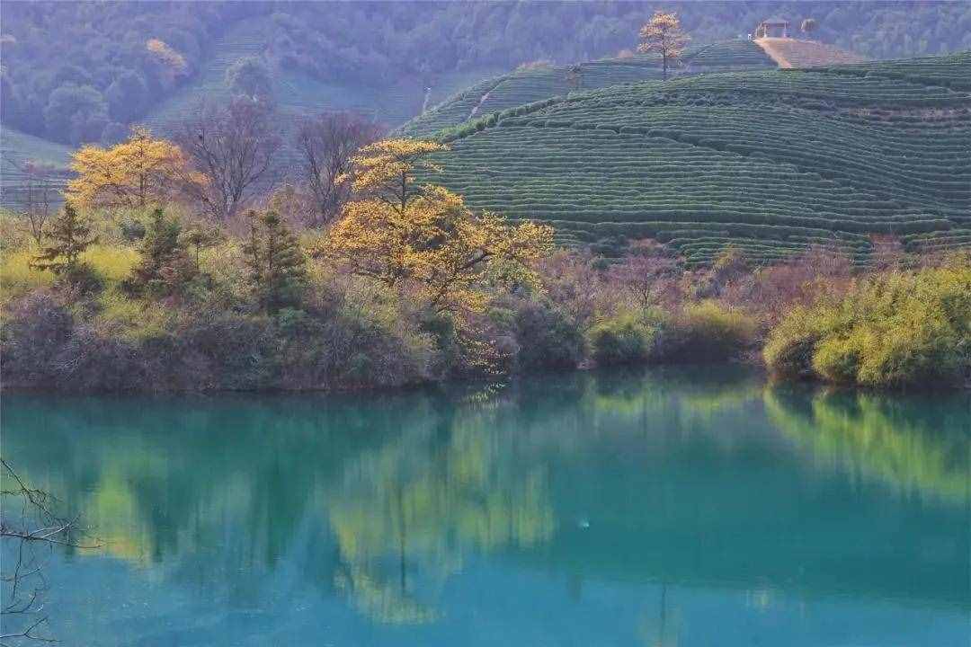 2021杭州景點大集合！最新版請收好，內(nèi)附省錢攻略