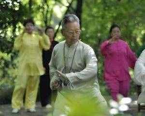 85式傳統(tǒng)太極楊式太極拳動作要點