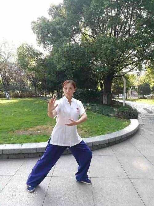 85式傳統(tǒng)太極楊式太極拳動作要點