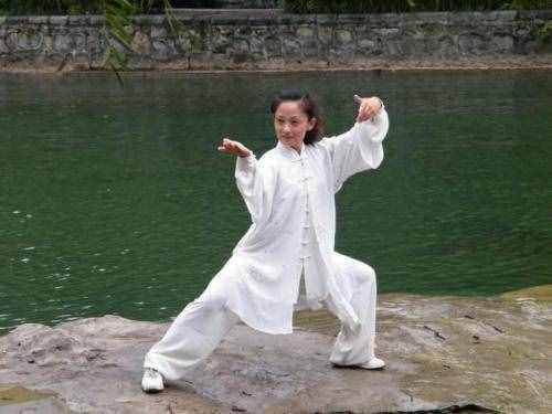 85式傳統(tǒng)太極楊式太極拳動作要點