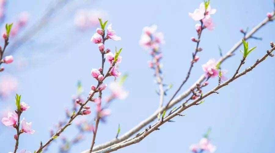 《中國詩詞大會》結束了，20道詩詞測試題繼續(xù)挑戰(zhàn)！