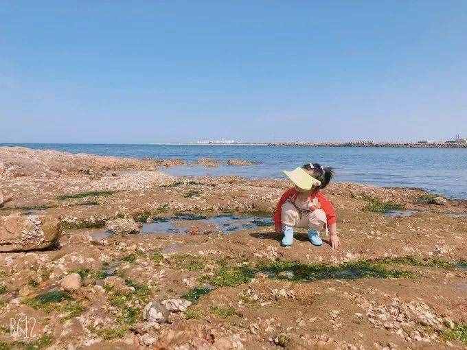 鲅魚圈最強攻略——看完就出發(fā)