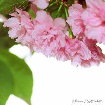 文藝小清新唯美的短句，句句走心，拿去發(fā)朋友圈！