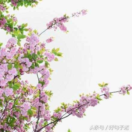 文藝小清新唯美的短句，句句走心，拿去發(fā)朋友圈！