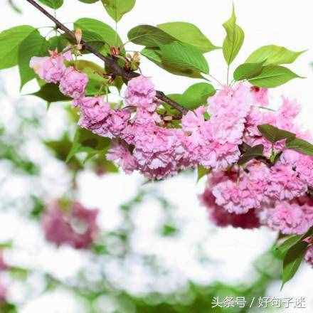 文藝小清新唯美的短句，句句走心，拿去發(fā)朋友圈！