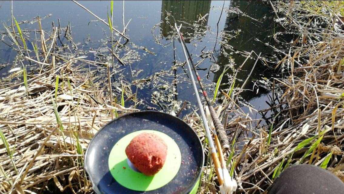 想釣大鯉魚，先掌握這六個作釣技巧你再試試看，釣不好你找我！