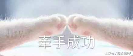 薛之謙高磊鑫復(fù)合：十年長(zhǎng)情，段子背后不為人知的孤獨(dú)與傷痛