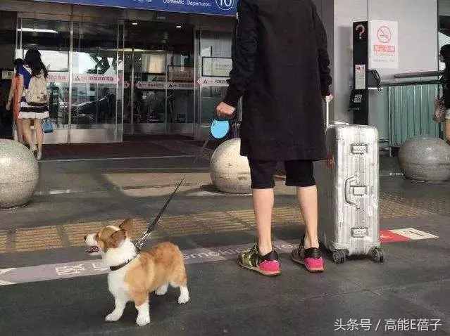 薛之謙高磊鑫復(fù)合：十年長(zhǎng)情，段子背后不為人知的孤獨(dú)與傷痛