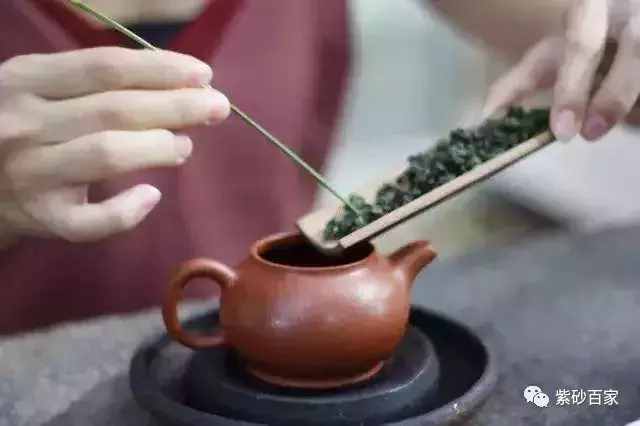 這些紫砂牛人語錄，一條比一條牛