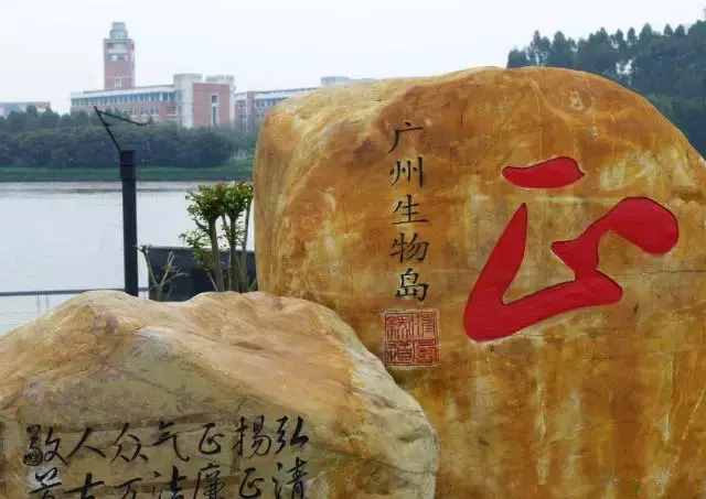 廣州的這8個(gè)小島，人少又免費(fèi)，適合大小情侶的去處