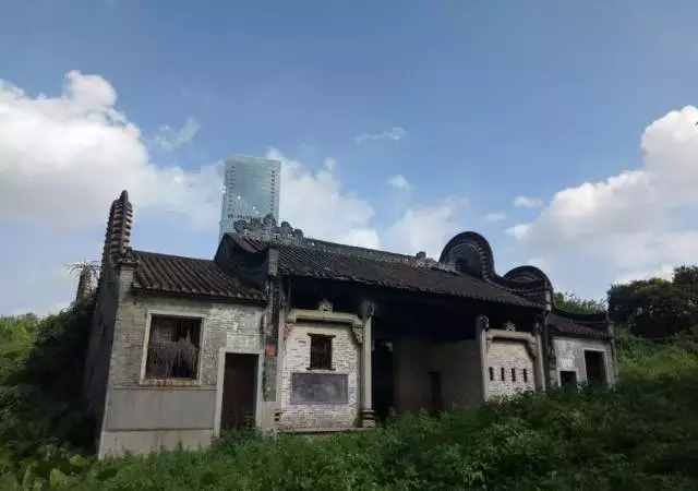 廣州的這8個(gè)小島，人少又免費(fèi)，適合大小情侶的去處
