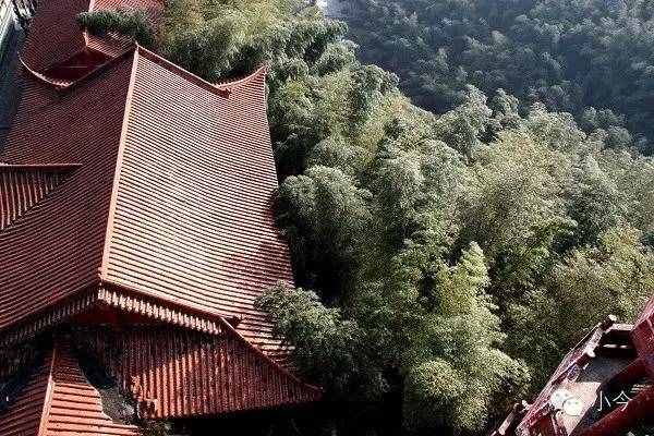 如何一天內(nèi)自駕玩轉(zhuǎn)蜀南竹海？