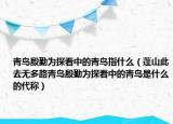 青鳥殷勤為探看中的青鳥指什么（蓬山此去無(wú)多路青鳥殷勤為探看中的青鳥是什么的代稱）