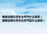 奇峰出奇云秀木含秀氣什么意思（奇峰出奇云秀木含秀氣是什么意思）