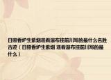 日照香爐生紫煙遙看瀑布掛前川寫的是什么名勝古跡（日照香爐生紫煙 遙看瀑布掛前川寫的是什么）