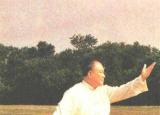 今日更新楊氏太極拳85式（85式傳統(tǒng)太極楊式太極拳動(dòng)作要點(diǎn)）