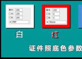 今日更新一寸尺寸（證件照的具體尺寸和顏色你知道嗎）