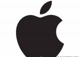今日更新為什么ipad連不上wifi(為什么ipad找不到wifi信號)